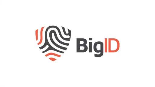 BigID Inc. logo