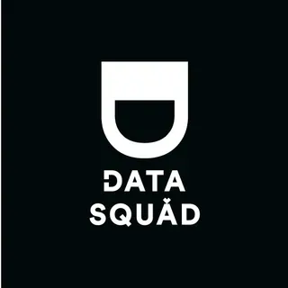 DataSquad logo