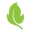 Digital Balance logo
