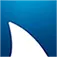 Nova logo