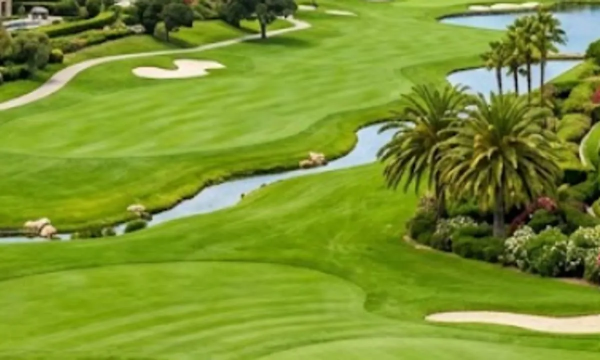 Illustrative image: Golf simulator at The Monarque