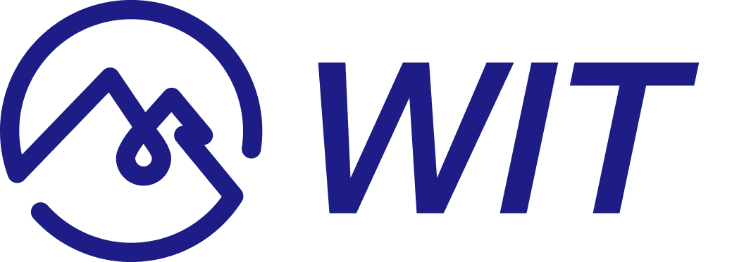 Wuyue Information Technology logo